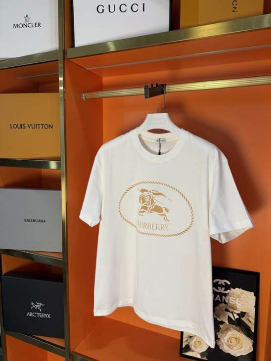 Picture of Burberry T Shirts Short _SKUBurberryXS-Llzytx000219181